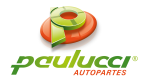 PAULUCCI