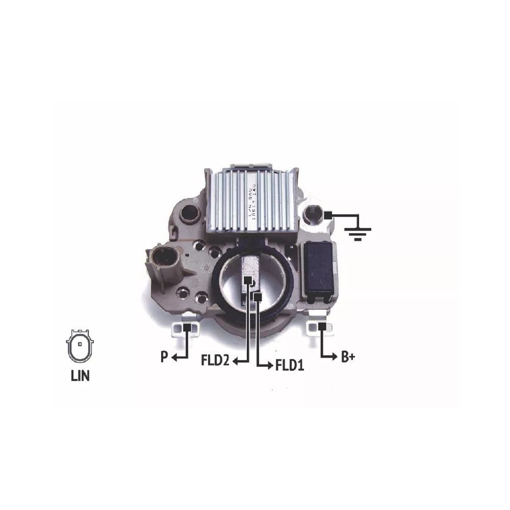 Imagen Principal