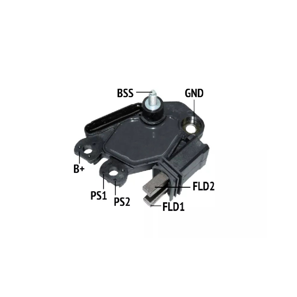 Imagen Principal
