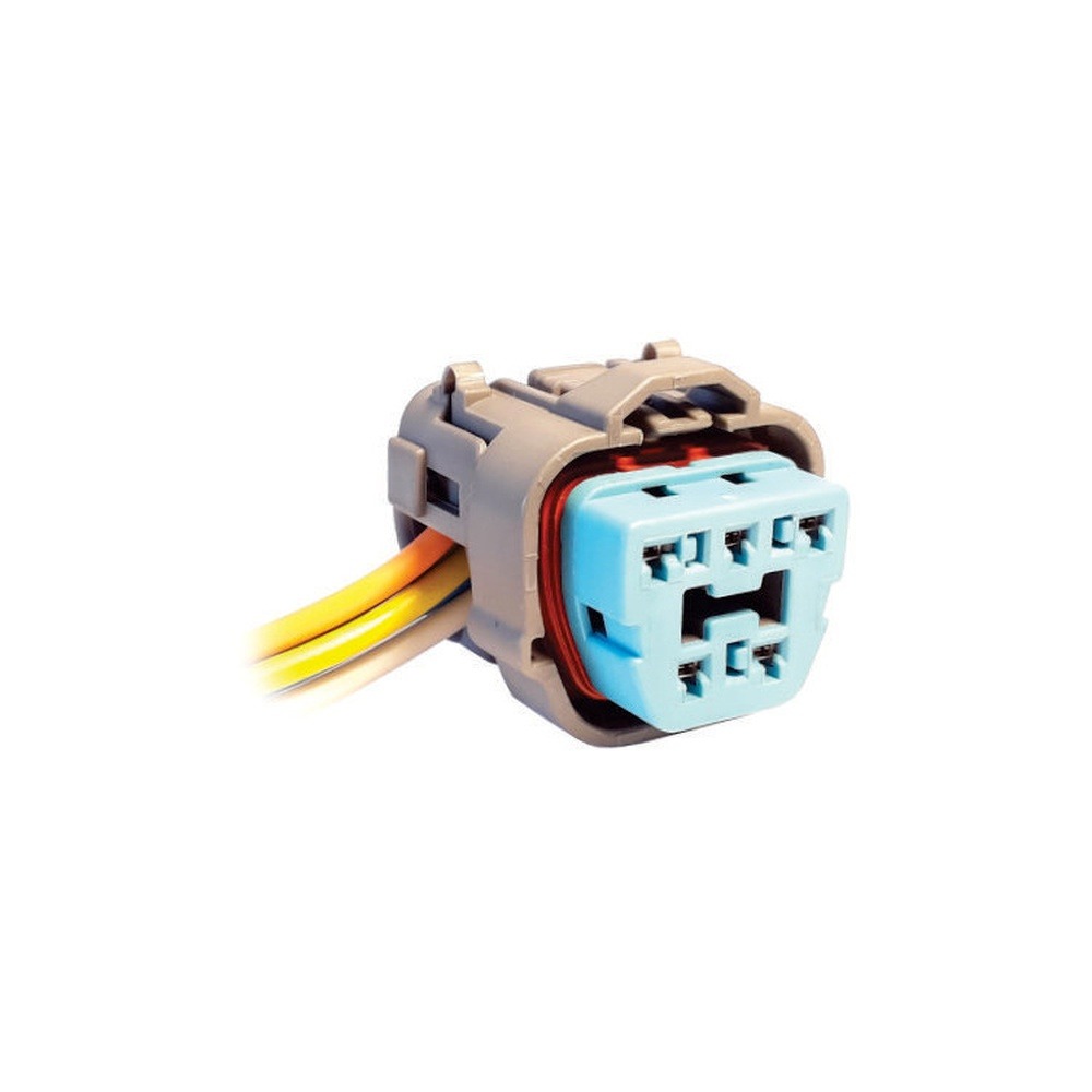 Imagen Principal