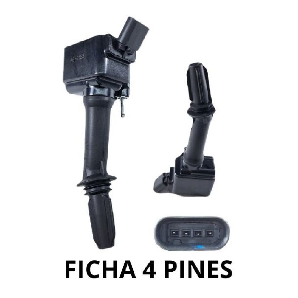 Imagen Principal