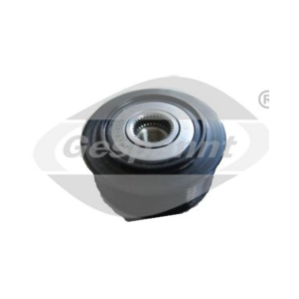 Imagen Principal