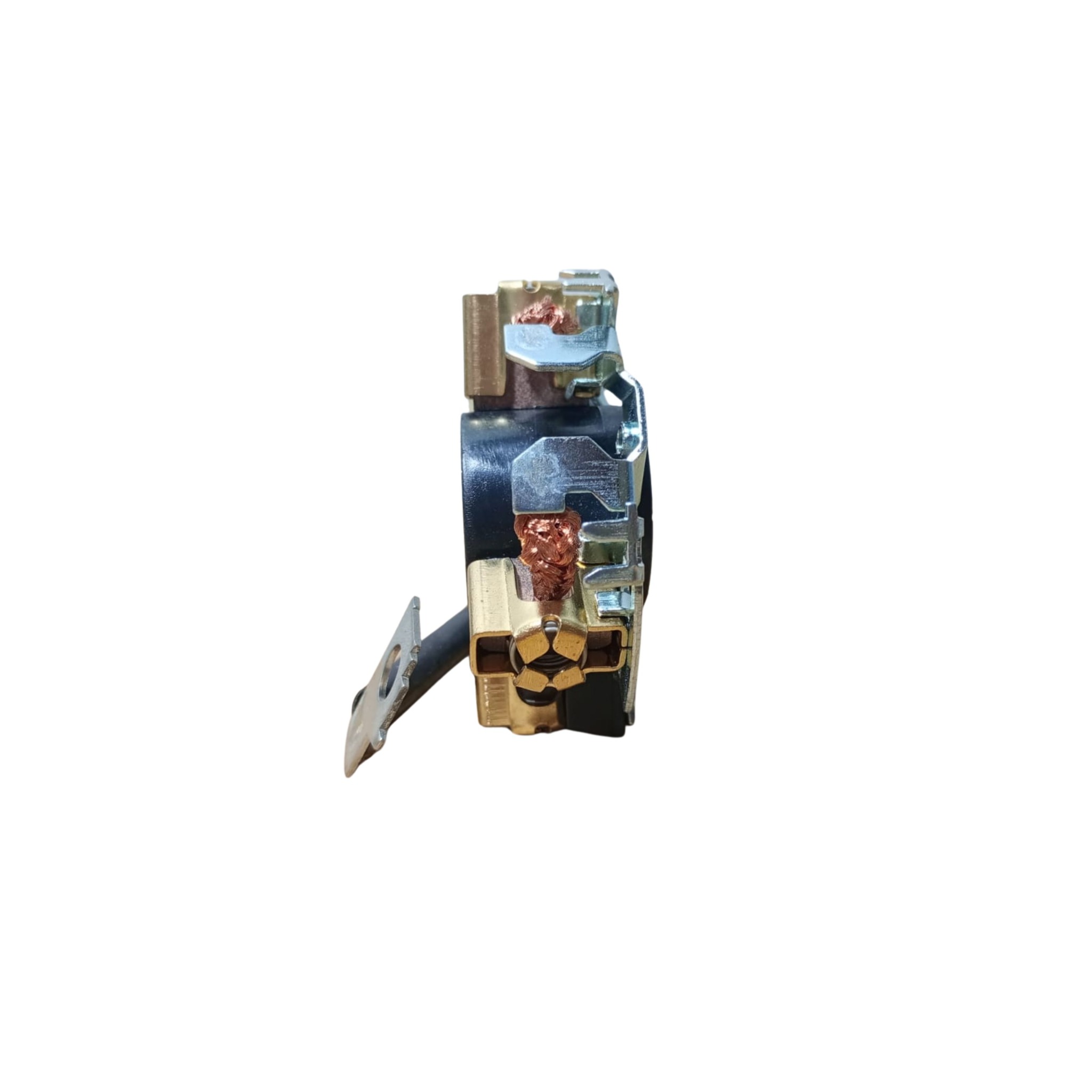 Miniatura