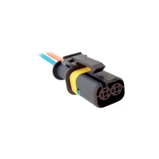FICHA 2 VIAS INYECCION ELECTRONICA CAMIONES Y OMNIBUS (5) (IMPORTADO)