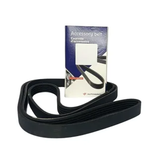 POLY V SUZUKI GRAND VITARA JIII J3 2.4 J24