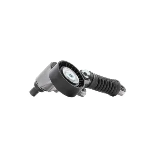 CONJUNTO POLEA Y RESORTE TENSOR RENAULT MEGANE SCENIC 8200236495 VKM 36070