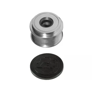 POLEA ALT DELPHI CHEVROLET CORSA-MERIVA 1.7 CDTI (6 CANALES)