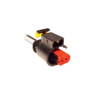 FICHA 2 VIAS INYECTOR BRC PARA GNC 5TA. GENERACION