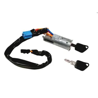 ANTIRROBO PEUGEOT 206 MULTIPLEXADO (2006+)