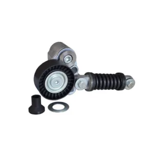 CONJUNTO POLEA Y RESORTE TENSOR RENAULT CLIO SPORT 8200236495 VMK 36070