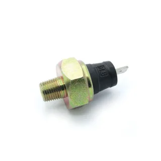 BULBO ACEITE AUDI-BMW-SKODA-ALFAROMEO-MB-ROVER /ROSCA 10X1