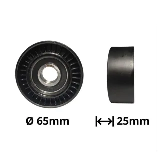 TENSOR POLY V RENAULT K9K CLIO KANGOO LOGAN REPARACION OEM = CA11174 8200048486 G2/2-065 MEDIDAS: 65X25X17